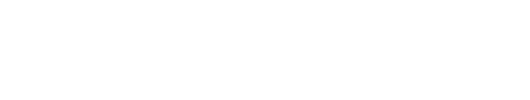 Plug and Play logo